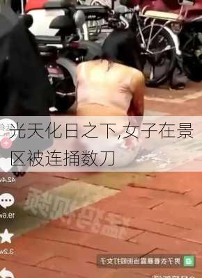 光天化日之下,女子在景区被连捅数刀