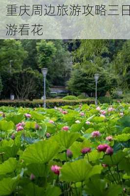 重庆周边旅游攻略三日游看花