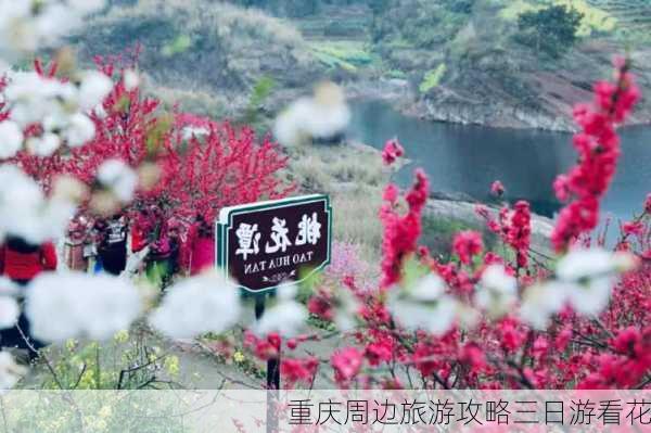 重庆周边旅游攻略三日游看花