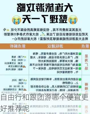 自由行和跟团游哪个便宜更好推荐呢