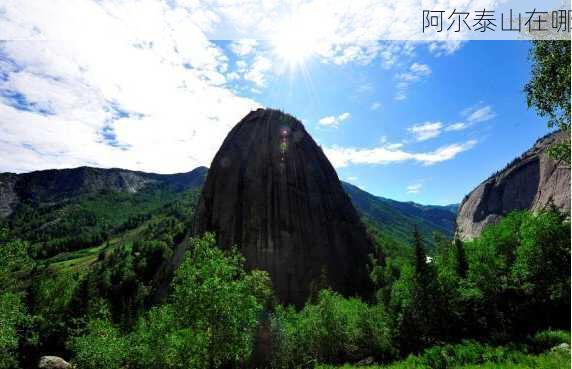 阿尔泰山在哪