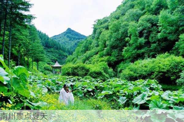 南川景点夏天