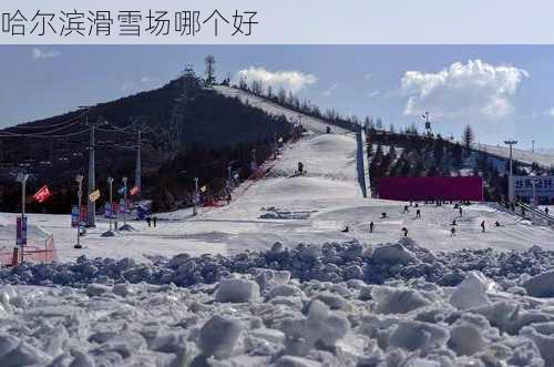 哈尔滨滑雪场哪个好