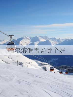 哈尔滨滑雪场哪个好