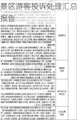 景区游客投诉处理汇总报告