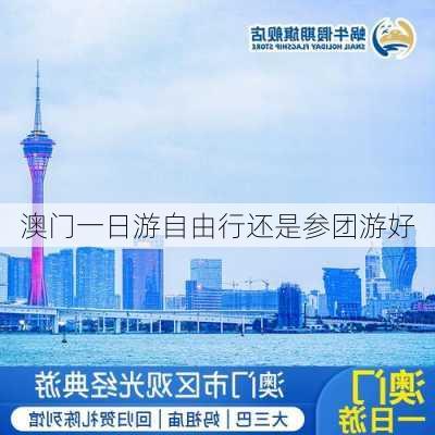 澳门一日游自由行还是参团游好