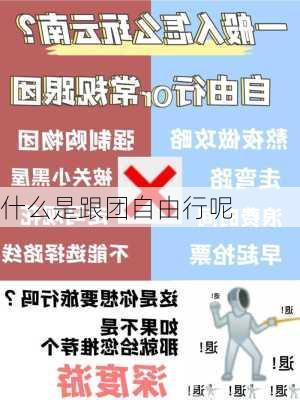 什么是跟团自由行呢