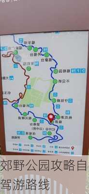 郊野公园攻略自驾游路线