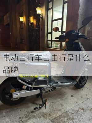 电动自行车自由行是什么品牌