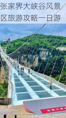 张家界大峡谷风景区旅游攻略一日游