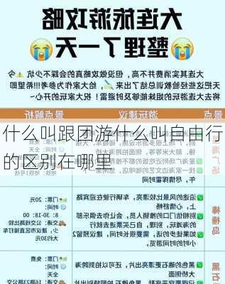 什么叫跟团游什么叫自由行的区别在哪里