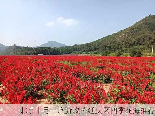 北京十月一旅游攻略延庆区四季花海推荐