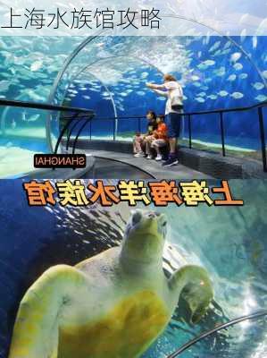 上海水族馆攻略