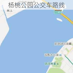 杨桃公园公交车路线