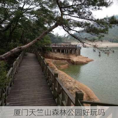 厦门天竺山森林公园好玩吗