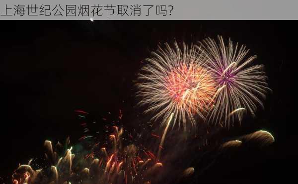 上海世纪公园烟花节取消了吗?