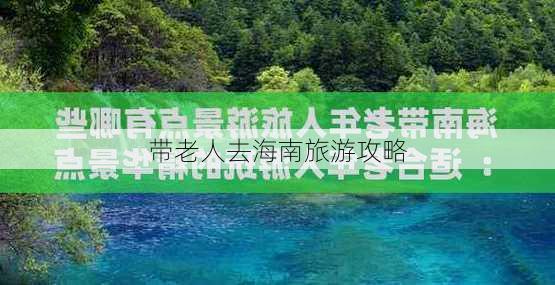 带老人去海南旅游攻略