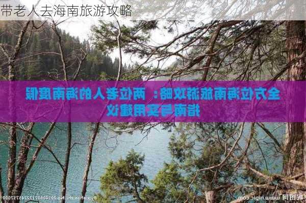 带老人去海南旅游攻略