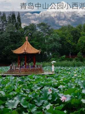 青岛中山公园小西湖