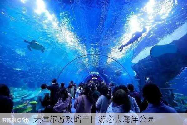 天津旅游攻略三日游必去海洋公园