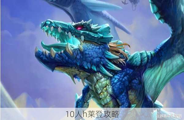 10人h莱登攻略