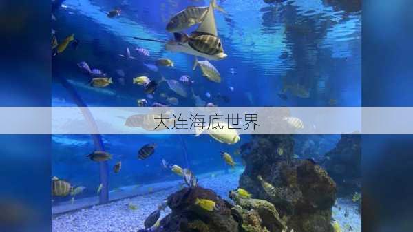 大连海底世界