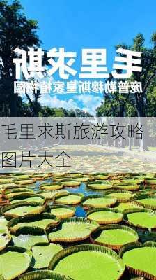 毛里求斯旅游攻略图片大全