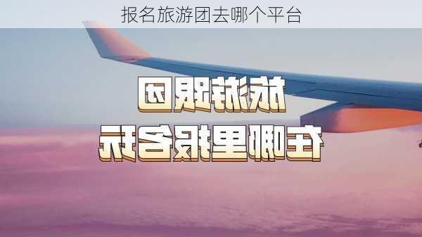 报名旅游团去哪个平台