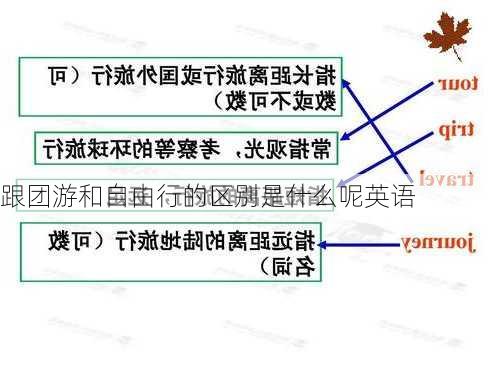 跟团游和自由行的区别是什么呢英语