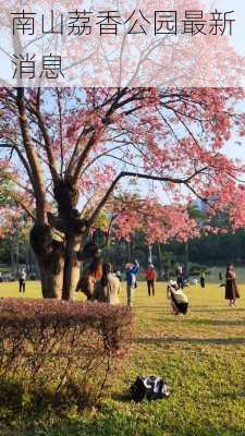 南山荔香公园最新消息