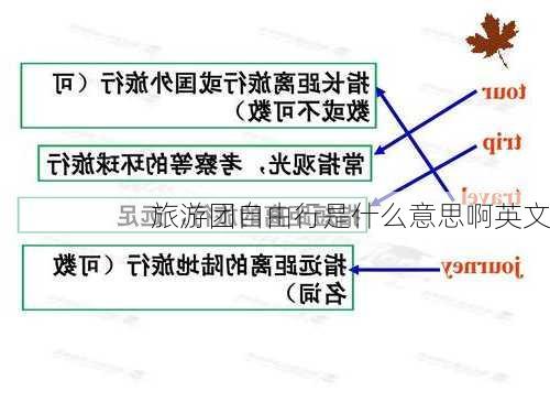 旅游团自由行是什么意思啊英文