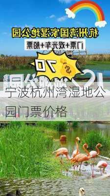 宁波杭州湾湿地公园门票价格