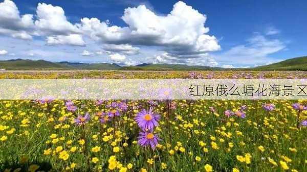 红原俄么塘花海景区