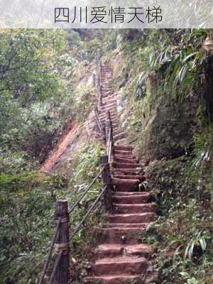 四川爱情天梯