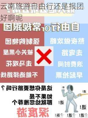 云南旅游自由行还是报团好啊呢