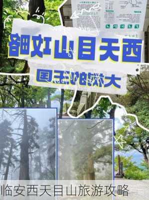 临安西天目山旅游攻略