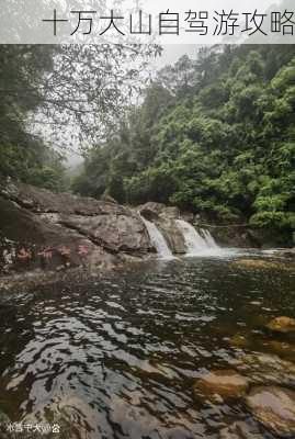 十万大山自驾游攻略